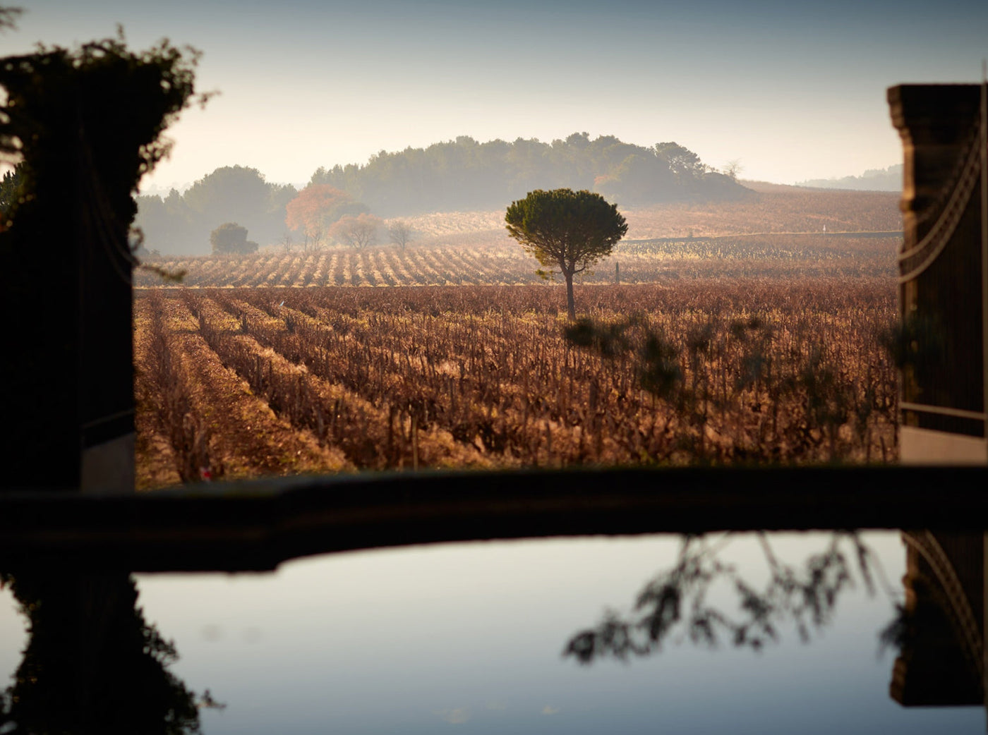 Beau Domaine by Brad Pitt & Famille Perrin